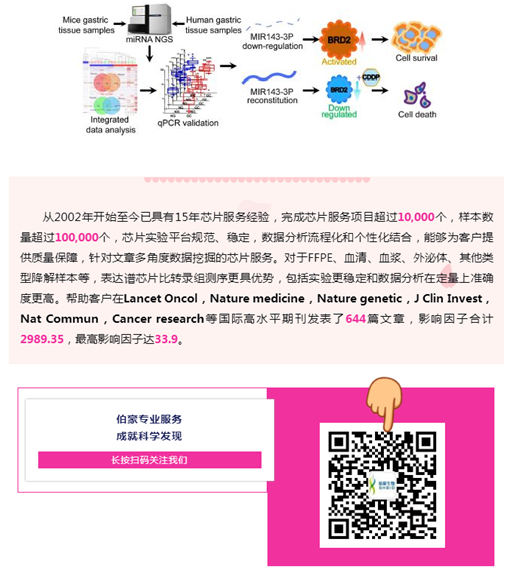 QQ 截圖 20191204141250