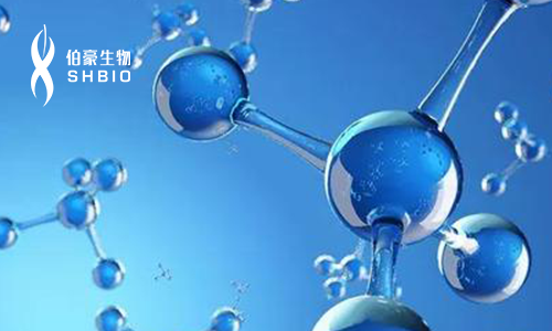 2019 生命組學(xué)技術(shù)與轉(zhuǎn)化前沿論壇分子診斷技術(shù)與臨床應(yīng)用新趨勢