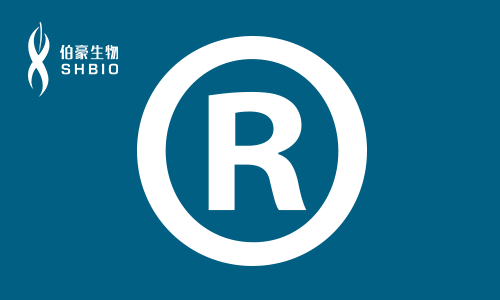 伯豪培訓(xùn)班 R 語(yǔ)言培訓(xùn)班