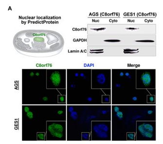 QQ 截圖 20191204143914