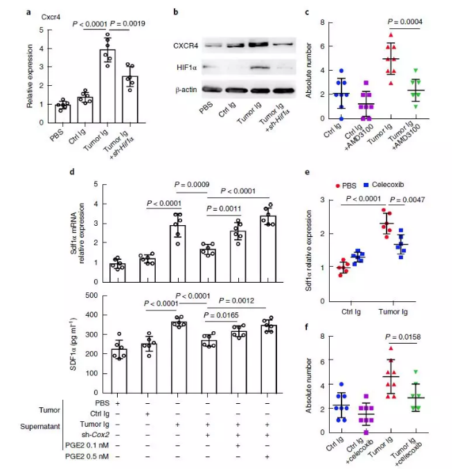  單細胞核測序技術服務 