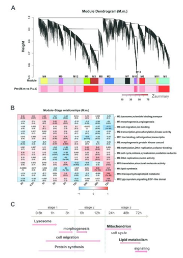 QQ 截圖 20191204142716