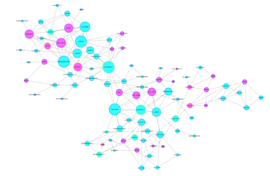 lncRNA 和 mRNA 共表達分析