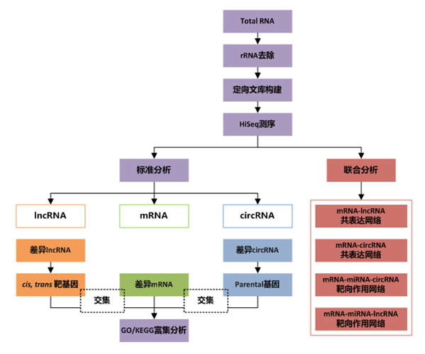 全轉(zhuǎn)錄組測序數(shù)據(jù)分析