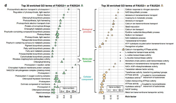 QQ 截圖 20191204144953