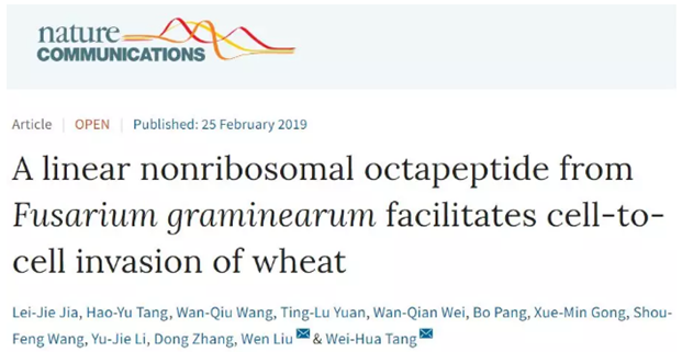 QQ 截圖 20191204144427