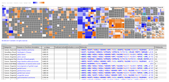 function 富集顯著及得到激活抑制信息