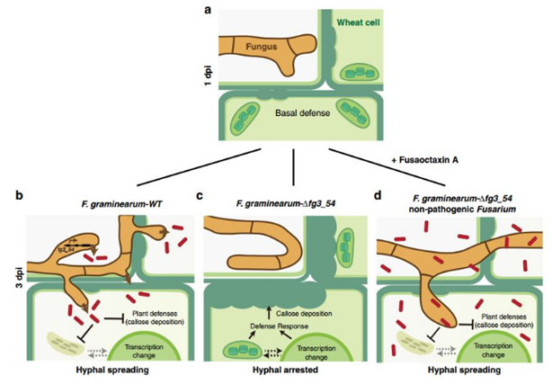 QQ 截圖 20191204145058