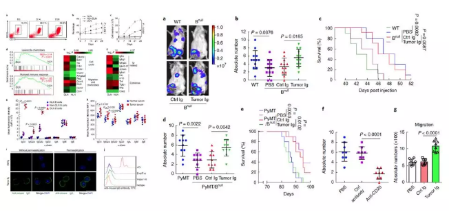 單細胞核測序技術服務