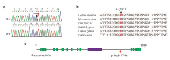 全外顯子組測(cè)序數(shù)據(jù)分析內(nèi)容 2