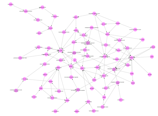 系統(tǒng)地概括富集的基因所指向的功能類型以及分層關(guān)系