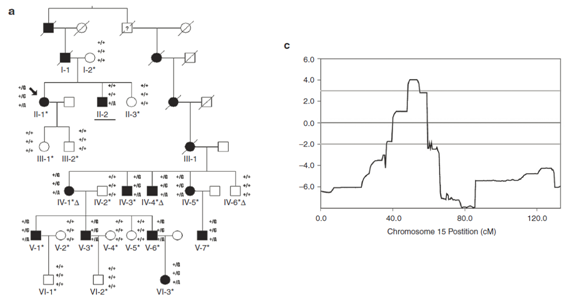 全外顯子組測(cè)序數(shù)據(jù)分析內(nèi)容 1