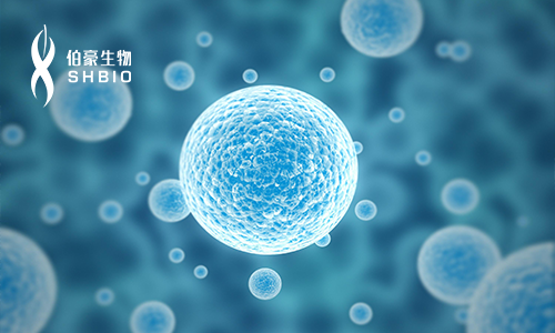 盛邀 | 第二屆單細(xì)胞測序技術(shù)與應(yīng)用專題研討會