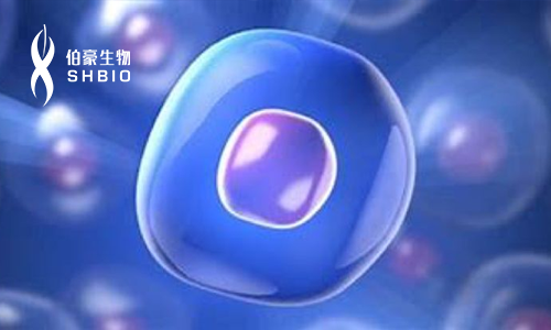 火熱報名 | 單細(xì)胞國自然培訓(xùn)班開班啦！