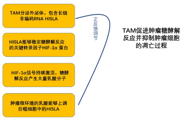 QQ 截圖 20191204135950
