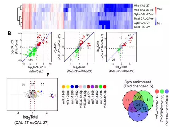 QQ 截圖 20191204135127