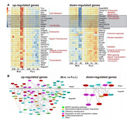 QQ 截圖 20191204142802