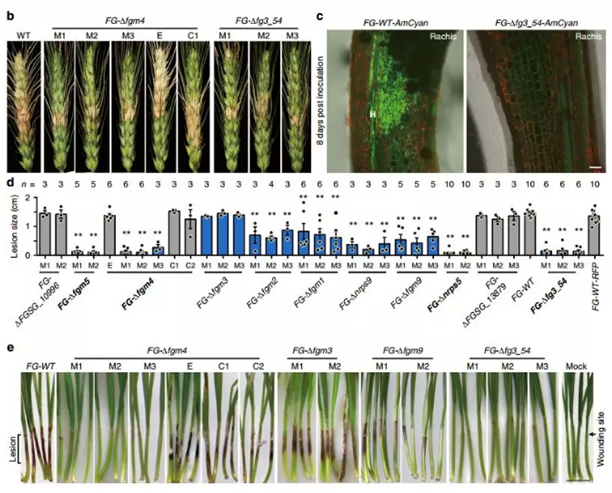 QQ 截圖 20191204144747