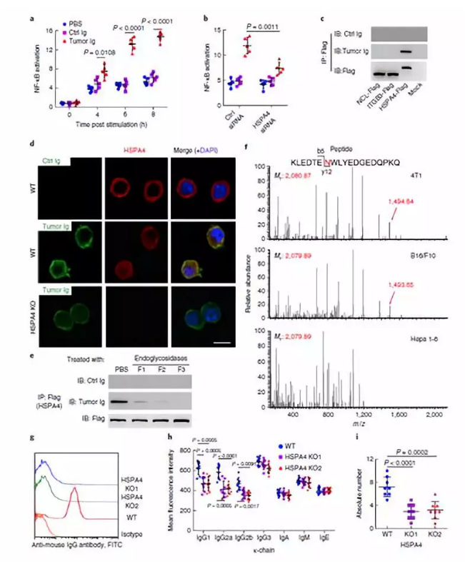 單細胞核測序技術服務