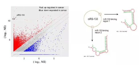 QQ 截圖 20191204150200