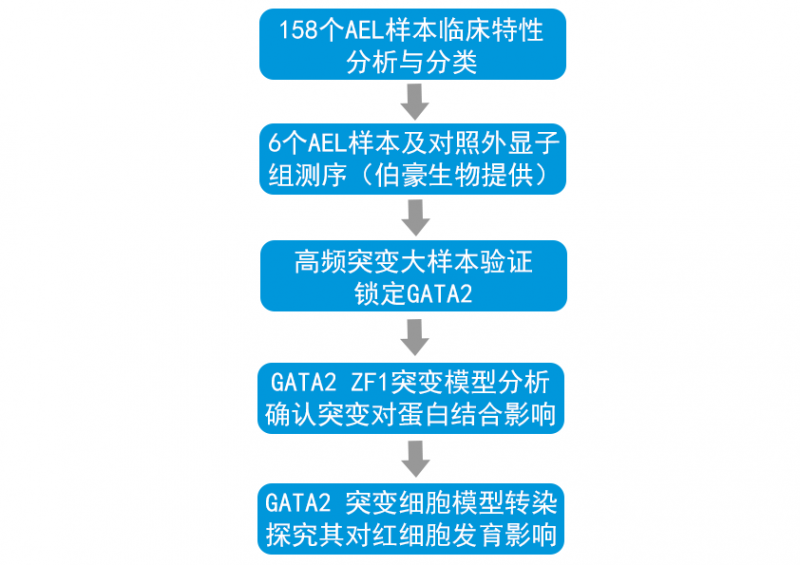 全外顯子組測(cè)序研究思路