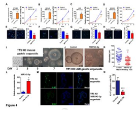 QQ 截圖 20191204140910
