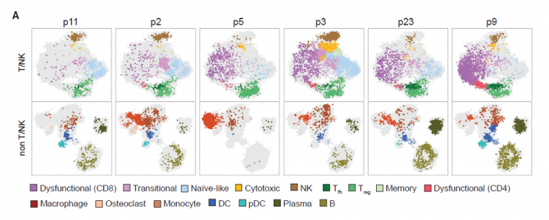 病人間免疫微環(huán)境異質(zhì)性