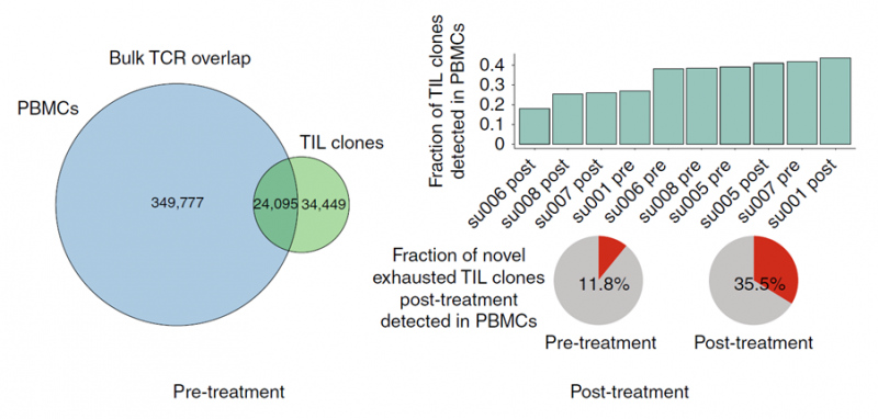 圖 新發(fā)現(xiàn)的腫瘤浸潤性 T 細胞在外周血中的比例