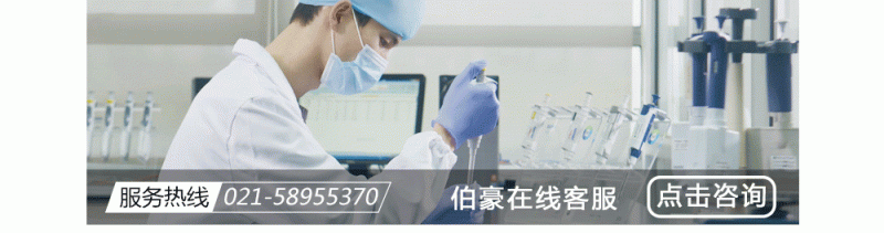  伯豪生物在線人工客服 