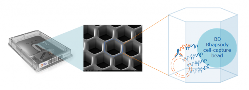 單細(xì)胞 mRNA 與蛋白同時(shí)測(cè)序