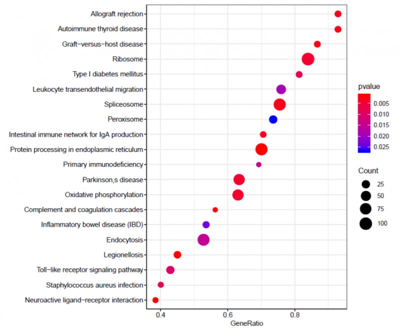 單細(xì)胞 RNA 測(cè)序細(xì)胞亞群的功能富集分析