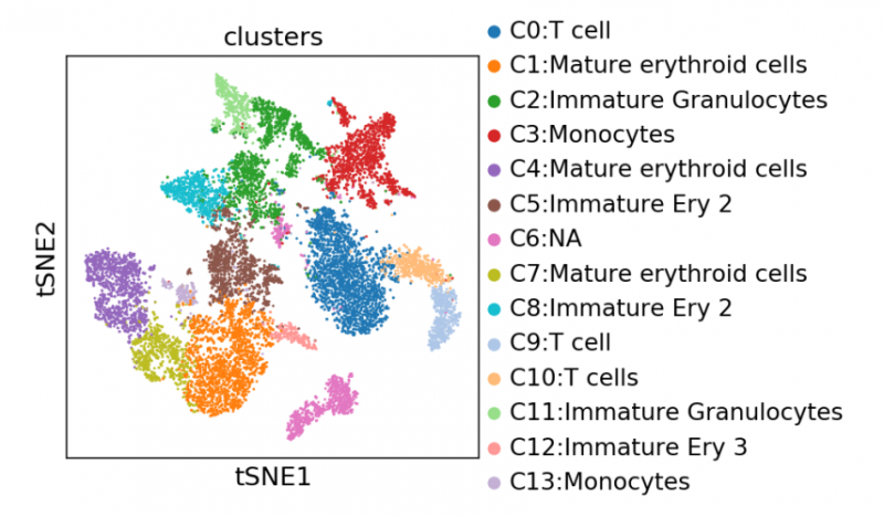 單細(xì)胞 RNA 測(cè)序細(xì)胞亞群注釋