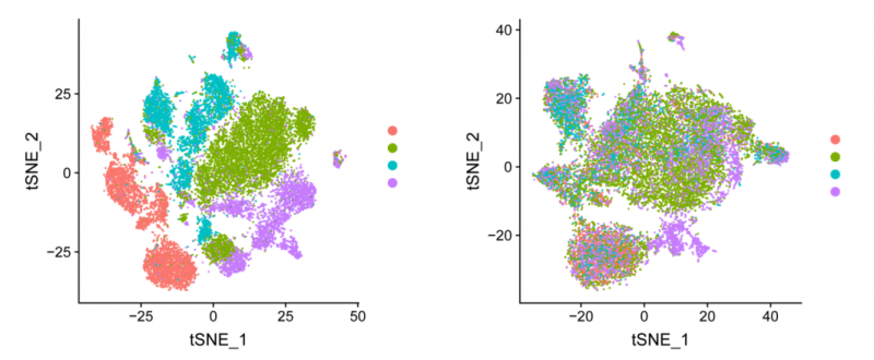 單細(xì)胞 RNA 測(cè)序去除批次效應(yīng)