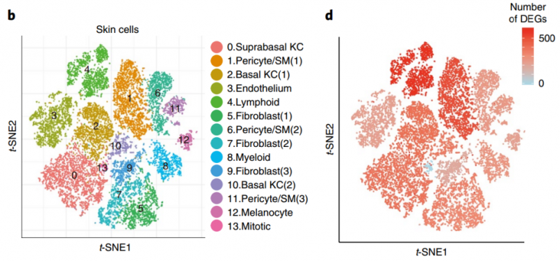單細(xì)胞 RNA 測(cè)序應(yīng)用:用藥指導(dǎo)