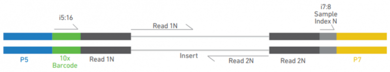 伯豪生物單細(xì)胞 ATAC 測序文庫構(gòu)建流程圖