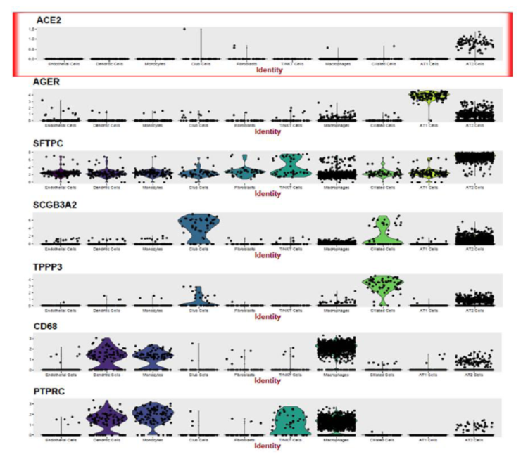單細(xì)胞 RNA 測(cè)序應(yīng)用:病毒感染