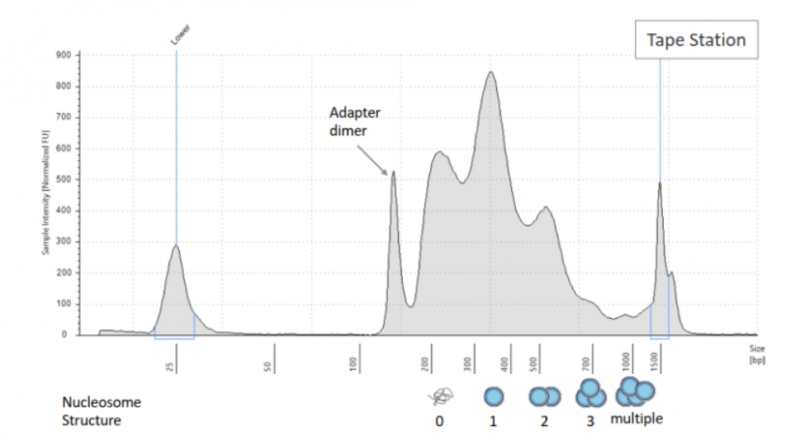 單細(xì)胞 ATAC 測序文庫質(zhì)檢結(jié)果圖