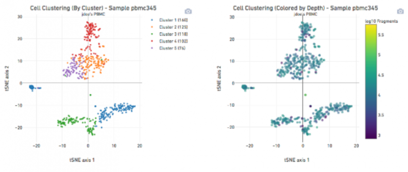 單細(xì)胞 ATAC 測序細(xì)胞聚類結(jié)果