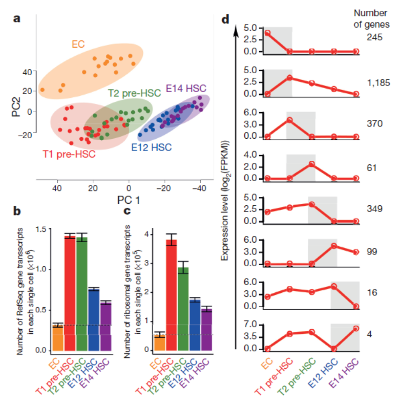 單細(xì)胞 RNA 測(cè)序應(yīng)用:干細(xì)胞分化