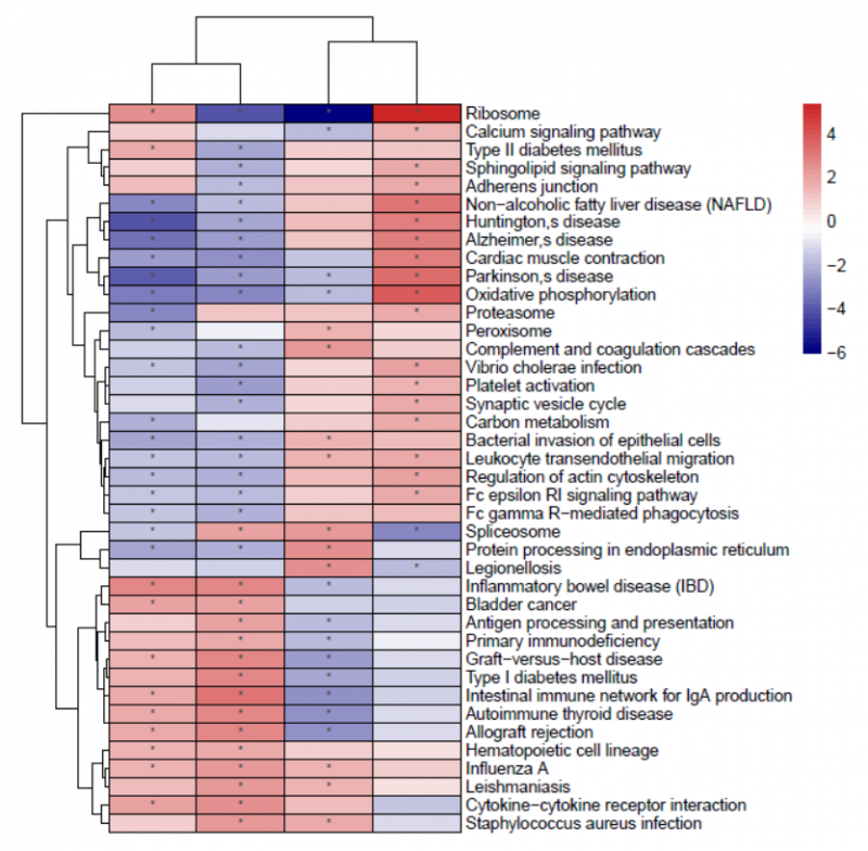 單細(xì)胞 RNA 測(cè)序細(xì)胞亞群的功能富集在樣本間的差異