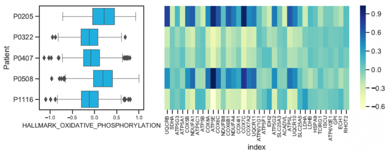 單細(xì)胞 RNA 測(cè)序樣本間的功能差異分析