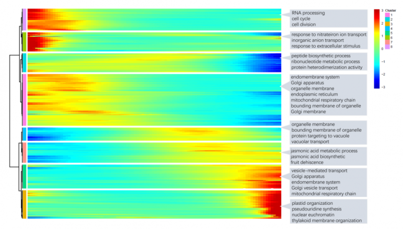 單細(xì)胞 RNA 測(cè)序擬時(shí)序 GO 注釋