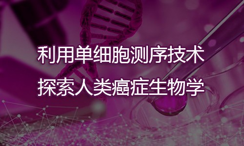 利用單細(xì)胞測(cè)序技術(shù)探索人類(lèi)癌癥生物學(xué)