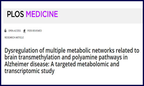代謝組學 | 阿爾茨海默氏病轉甲基化及多胺途徑相關代謝網絡研究