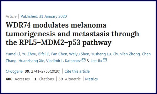 蛋白篇│蛋白組學機制研究例文解讀