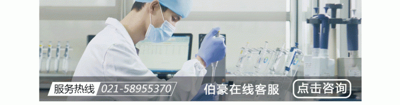 伯豪生物，在線客服