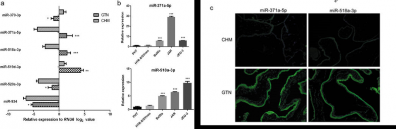  本研究 Affymetrix GeneChip miRNA 4.0 由上海伯豪提供實(shí)驗(yàn)和數(shù)據(jù)分析。