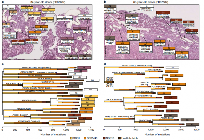 信號(hào)通路生信分析