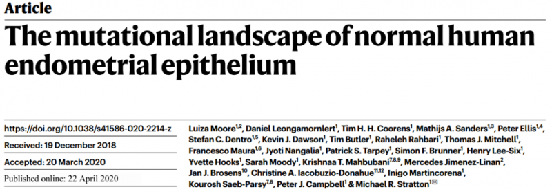 正常子宮內(nèi)膜上皮的突變圖譜