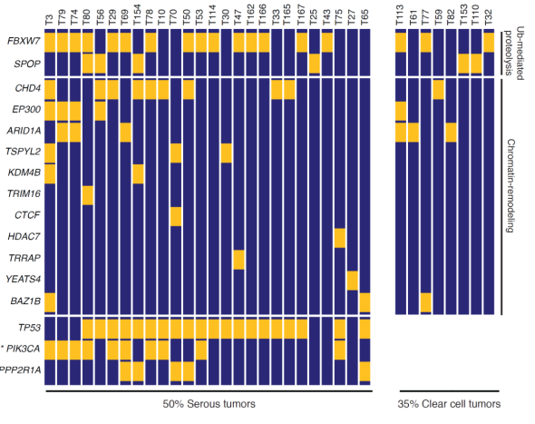 基因重測(cè)序生信分析圖